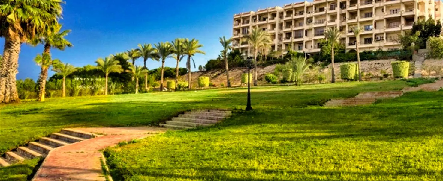 Zayed 2000 | Ground Floor