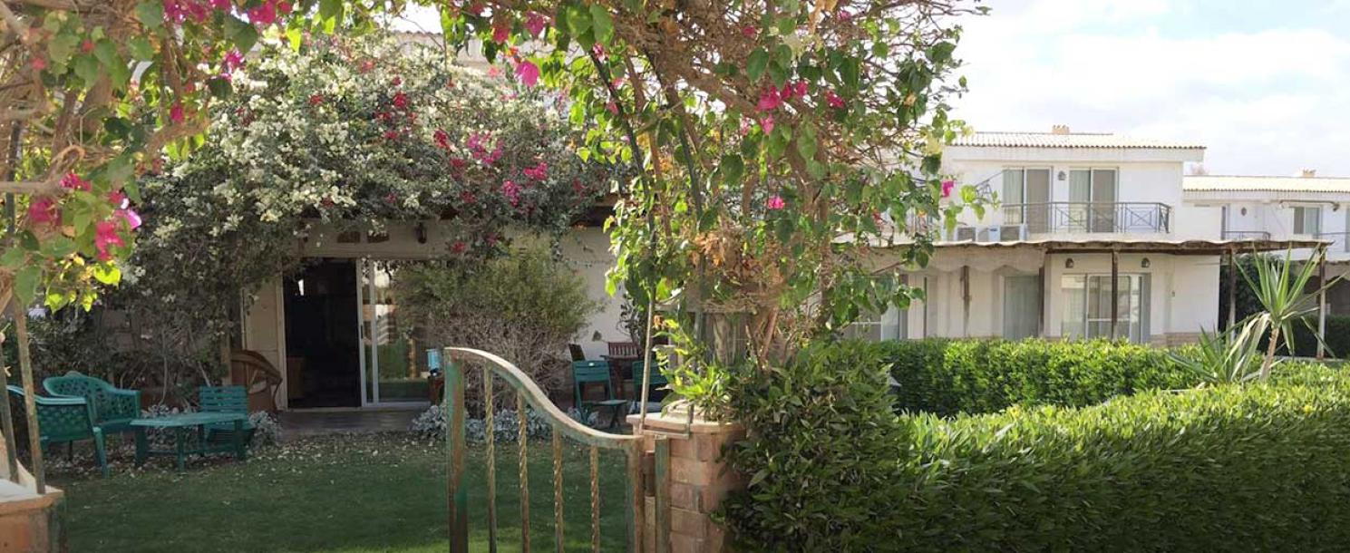 Little Venice | Villa