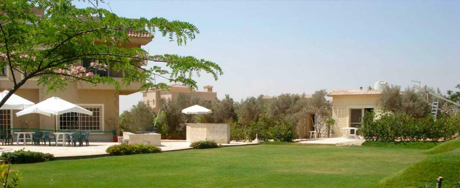 El Sheikh Zayed | Chalet