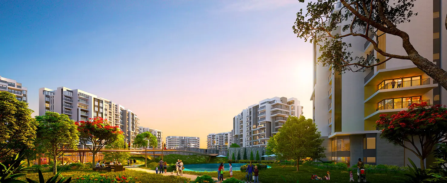 Zed West | Apartment