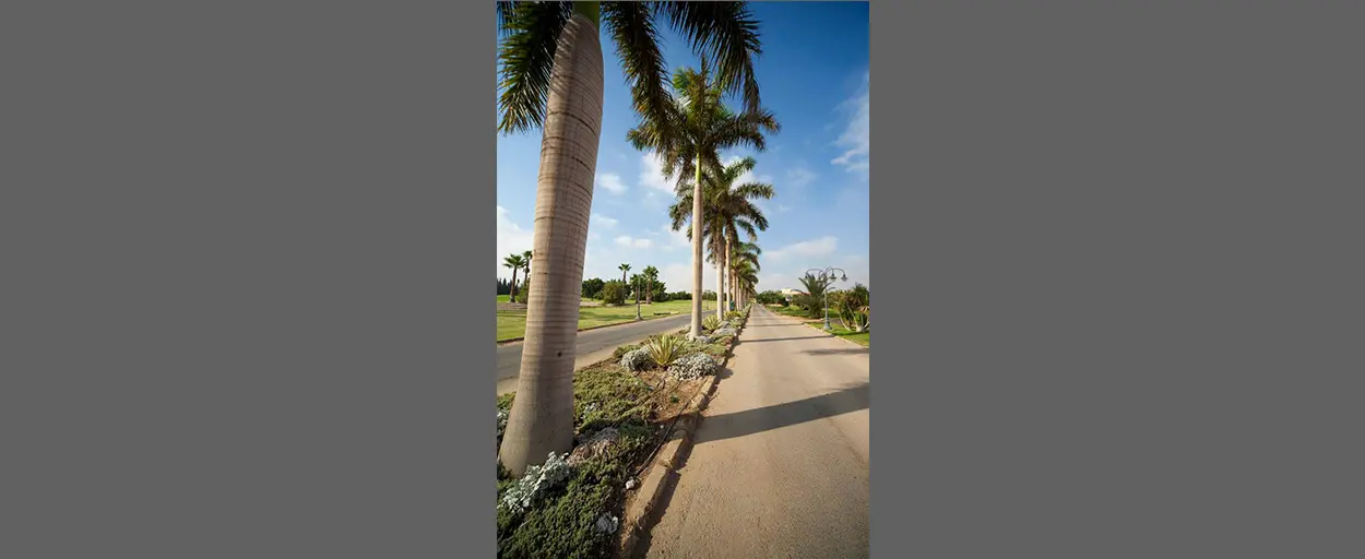 Wadi El Nakhil | Villa