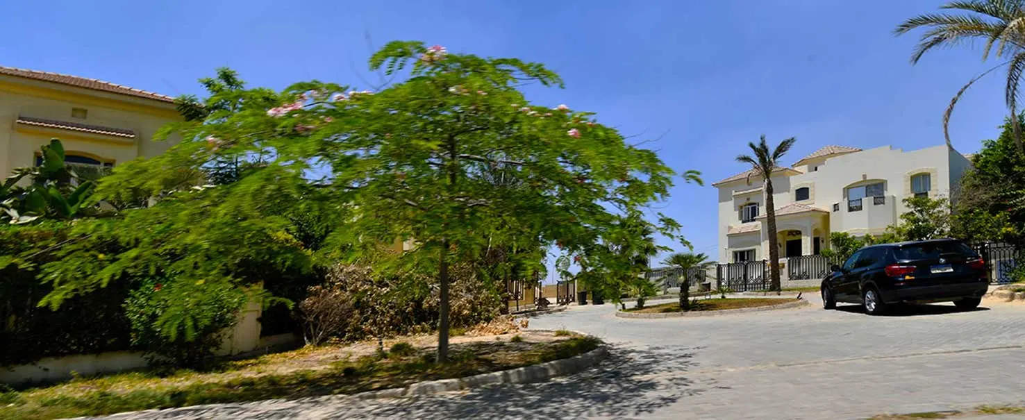 Gardenia Park 2 | Stand Alone Villa