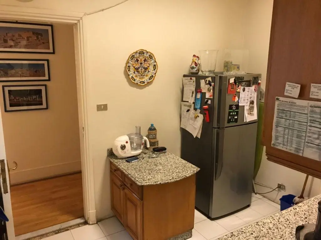 North Zamalek | Apartment