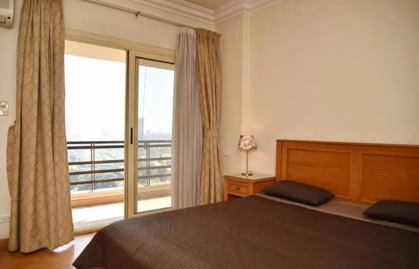 North Zamalek | Apartment