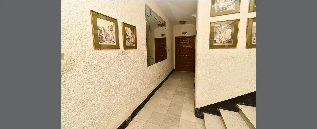 North Zamalek | Apartment