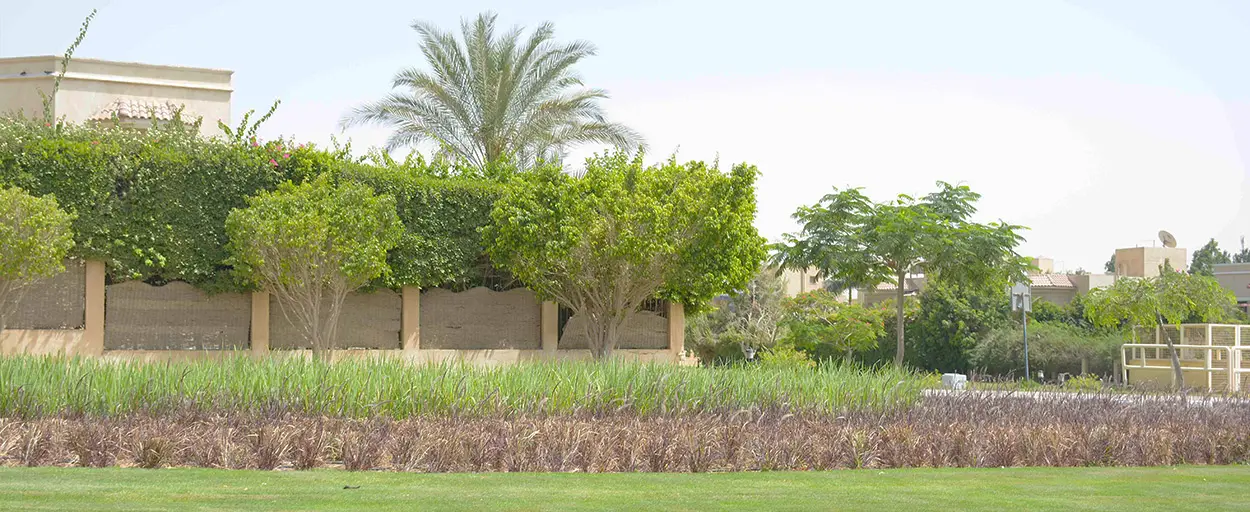 Westown Residential | شقة