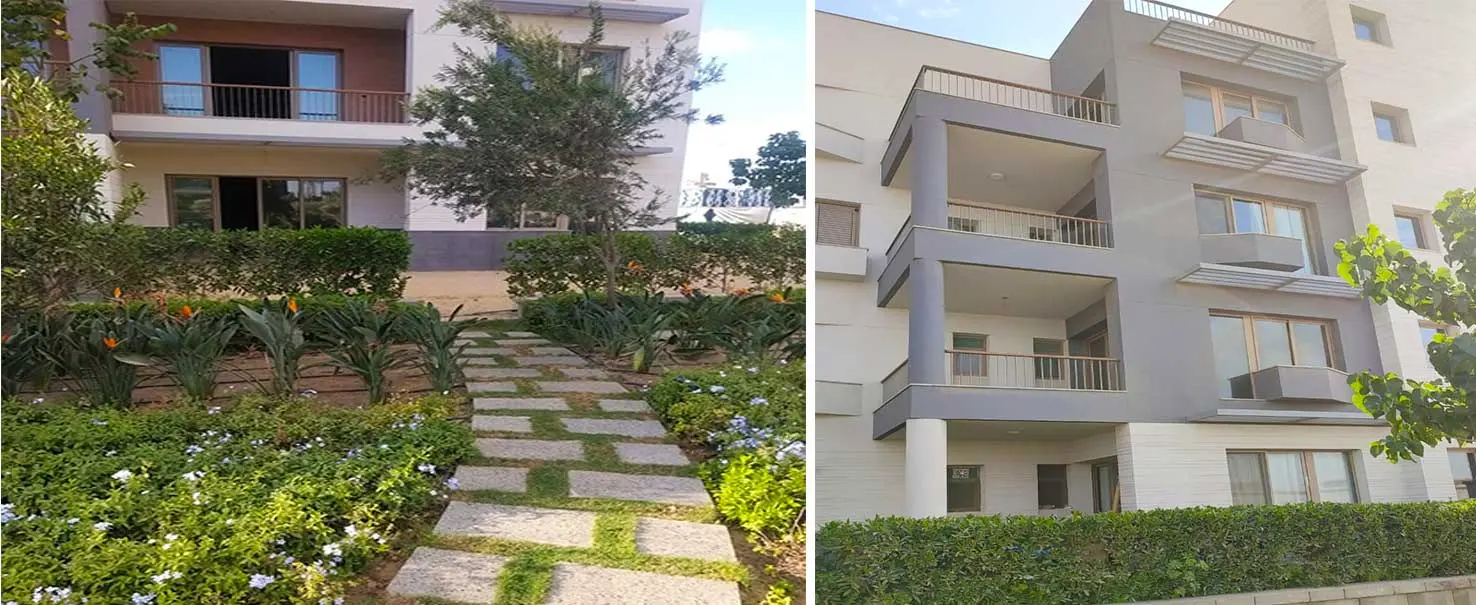 Court Yard | Apartment