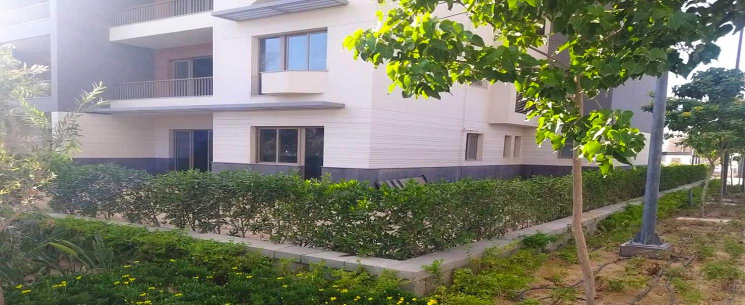 Court Yard | Apartment