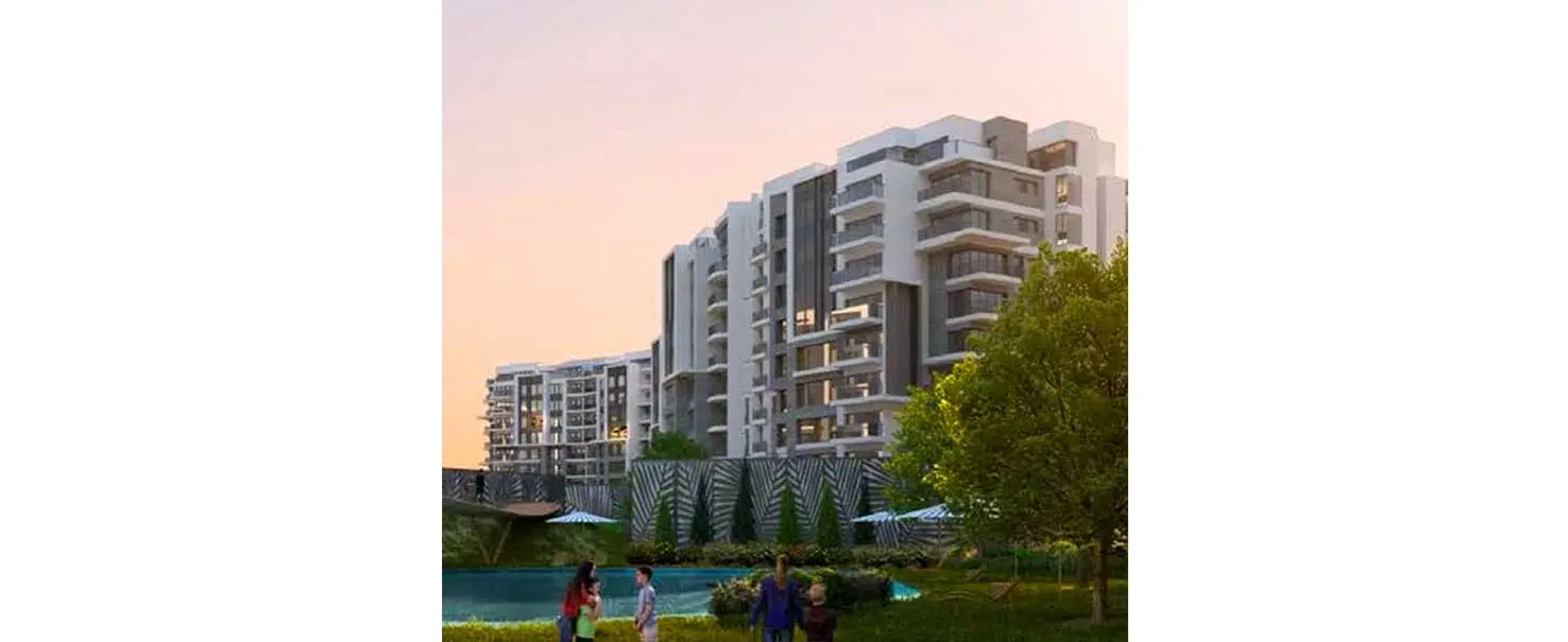 Zed Project | Apartment