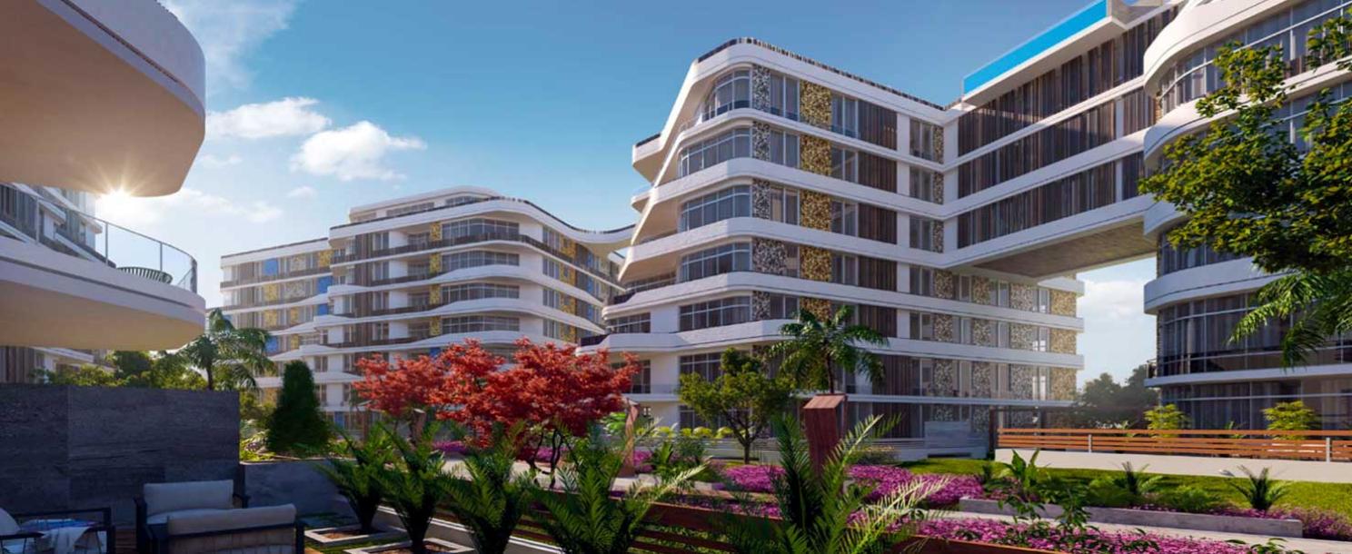 Bloomfields | Apartment