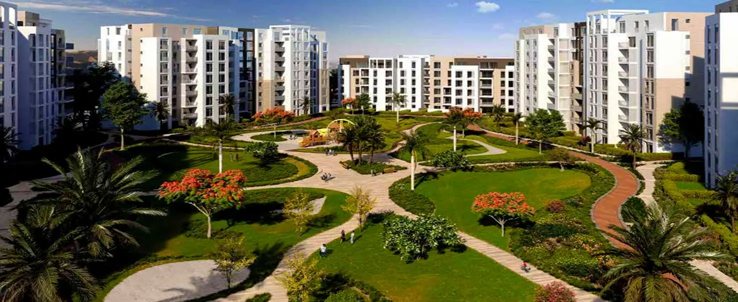 Zed East | Apartment