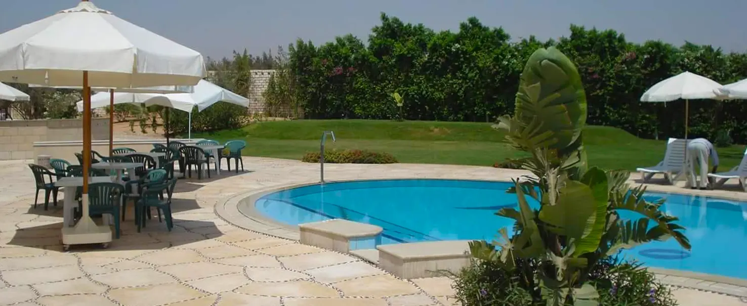 Palm Hills October | Other