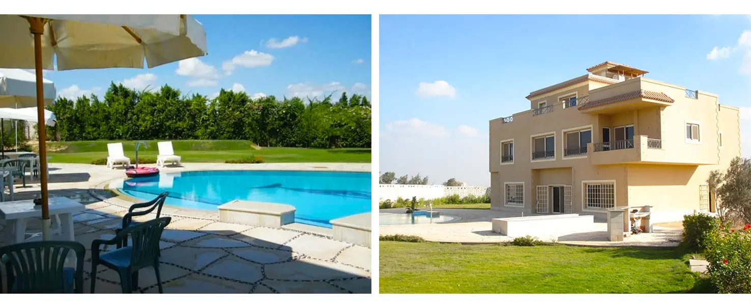 Palm Hills October | Other