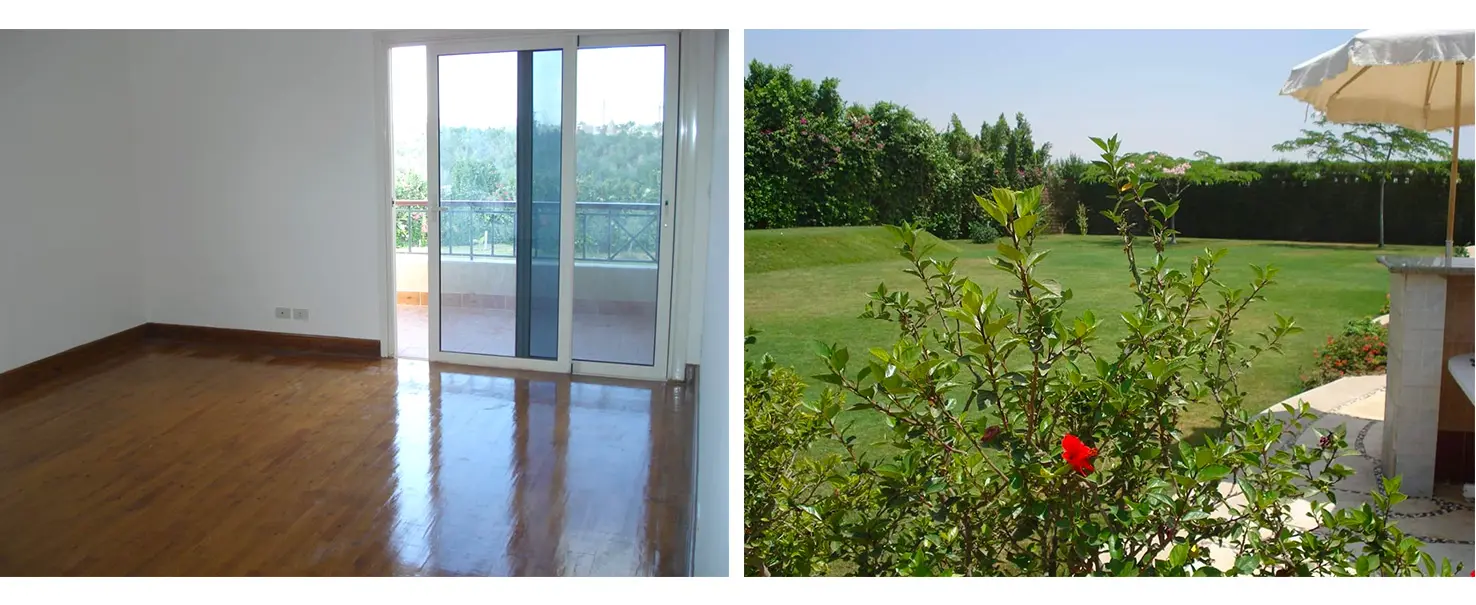 Palm Hills October | Other