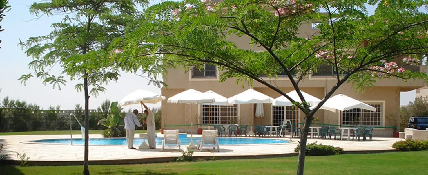 Palm Hills October | Other