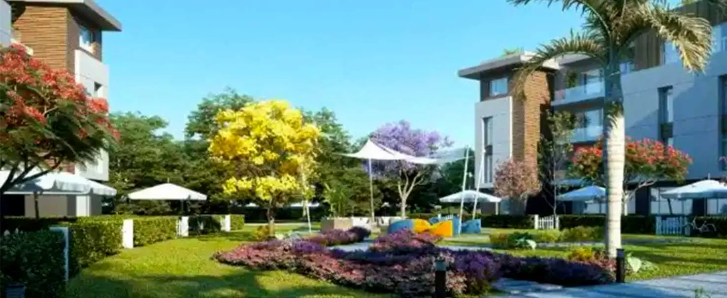 Acasa Alma | Apartment