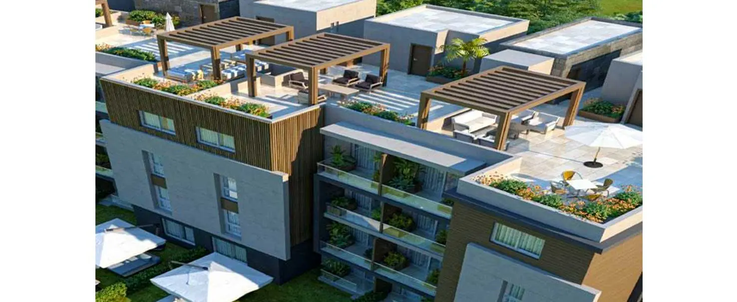 Acasa Alma | Apartment