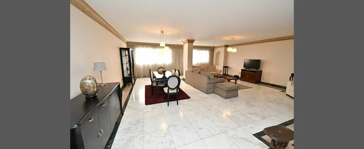 North Zamalek | Apartment