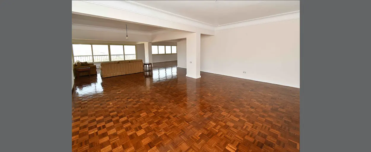 South Zamalek | شقة