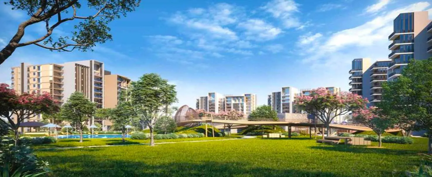 Zed West | Apartment