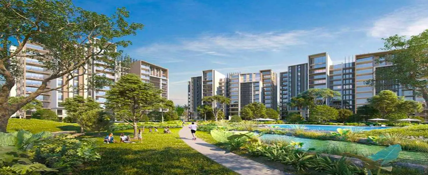 Zed West | Apartment