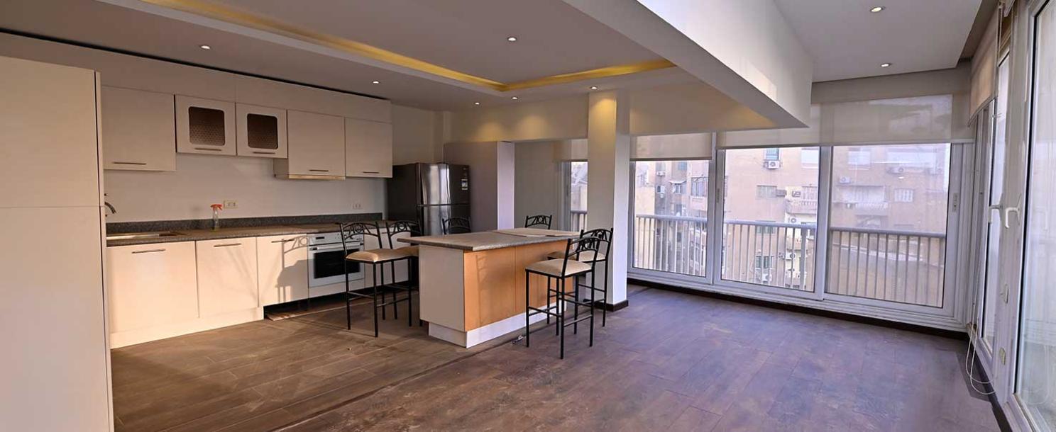 North Zamalek | Apartment