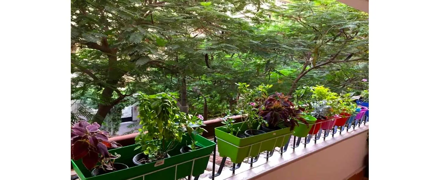 New Maadi | Apartment