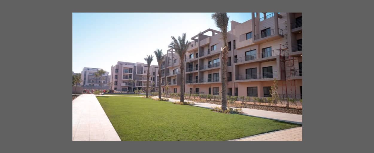 South Academy | Duplex