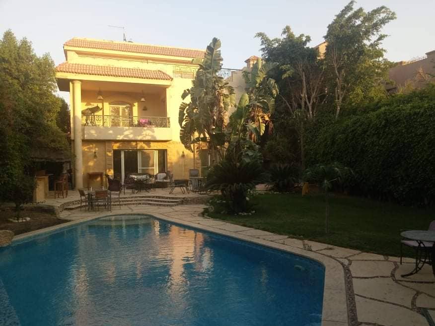 El Safwa | Villa