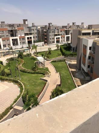 El Sheikh Zayed | بنتهاوس