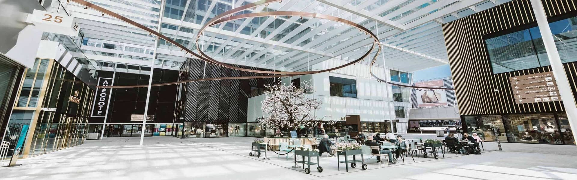 Shamasi | Phase 1
