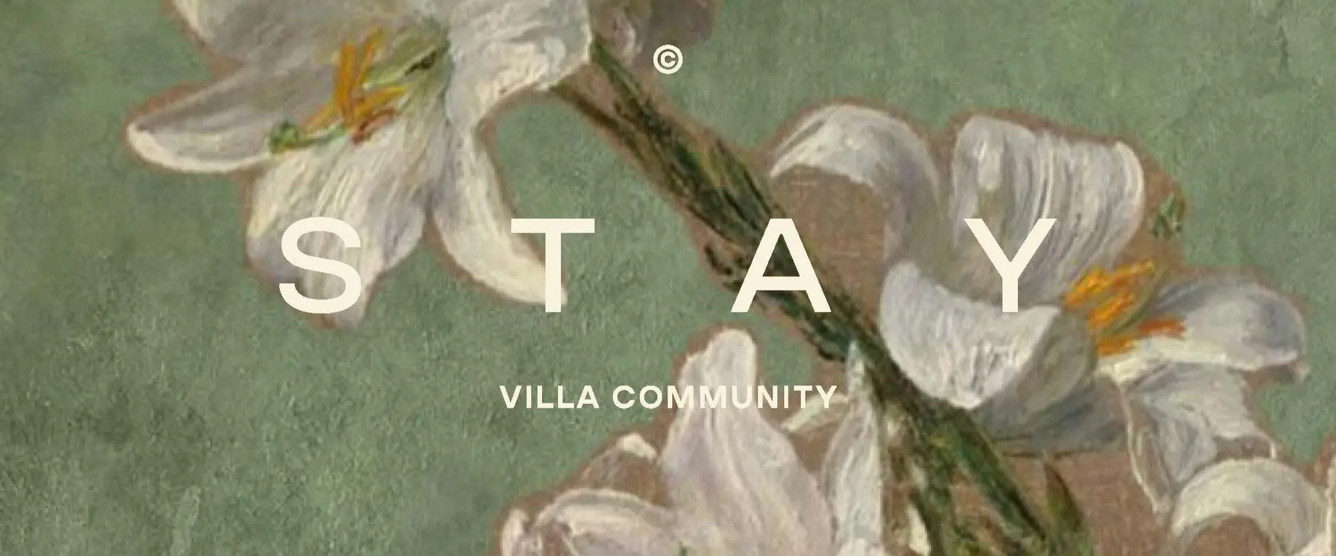 ZG Developments | Stay Villa Community