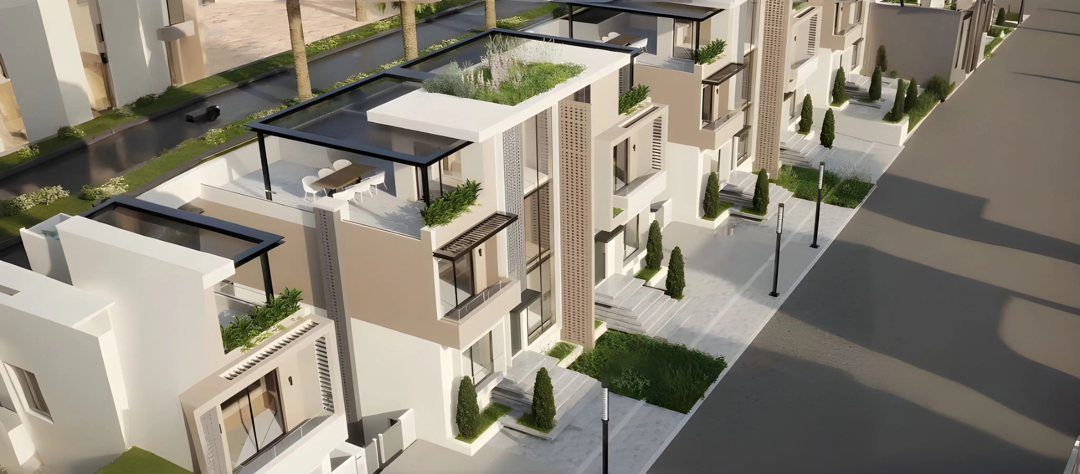 Zayard Memora New Zayed